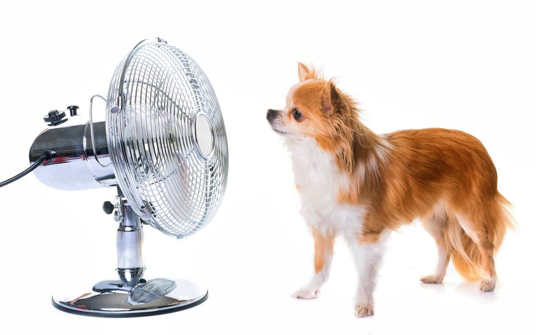 Way Cool: What Staying Cool, Waterfalls And Ductless Mini Split Stems Have In Common (Part 2)