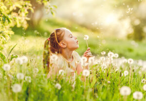 Young girl likes to play with fluffy dandelions in summer meadow