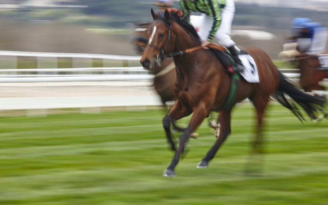 Upholding Integrity in Horse Racing